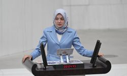 TBMM’nin en geç milletvekili AK Partili Aydemir’den CHP’li Başarır’a tepki