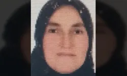 Ordu'da ineğin teptiği kadın öldü