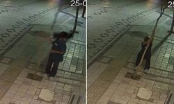 Ağaca bilerek zarar veren 14 yaşındaki çocuk hakkında soruşturma açıldı!