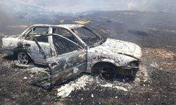 Adana'daki anız yangınında alevler ormana sıçradı