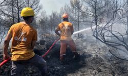 Antalya'da orman yangını: Havadan ve karadan müdahale sürüyor