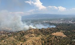 Aydın'da tarım arazisinde yangın: 4 helikopter müdahale ediyor!
