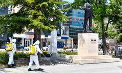 Ankara’da haşerelere karşı 25 ilçede 7/24 ilaçlama seferberliği