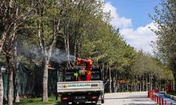 Çankaya’da sinek ve haşereyle mücadele hız kesmiyor
