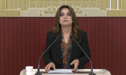 DEM Partili Koçyiğit: Çerçeve yasanın bir an önce TBMM'ye gelmesi gerekiyor