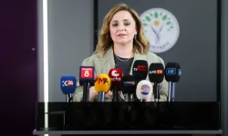 Ayşegül Doğan: Öcalan, gazetecilerle görüşmek istiyor