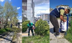 Kahramankazan Belediyesi, kent estetiğine katkı sağlamaya devam ediyor