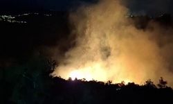 Hatay'da orman yangını