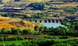 'UNESCO Dünya Miras Listesi'ndeki bahçede uyuşturucu yetiştirilmiş!