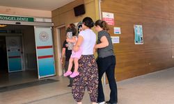 İki ayrı ilde 18 hırsızlık olayının şüphelisi kucağındaki bebeğiyle yakalandı