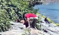 Avcılar Sahili’nde köpeğe şiddet kamerada