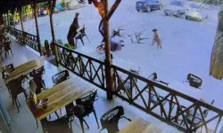 Köpek saldırısına uğrayan kadının kolu koptu