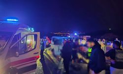 Minibüs, yola çıkan ata çarptı; 1 ölü, 2 yaralı