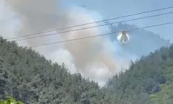 Manisa’da orman yangını: Havadan ve karadan müdahale sürüyor!