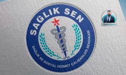 Sağlık-Sen yöneticileri hakkında soruşturma: Savcılık belge talep etti