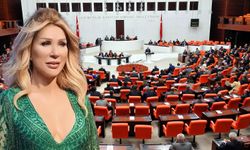 TBMM’de ‘Seda Sayan’ tartışması: ‘150 taksi plakası var’