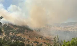 Diyarbakır Silvan’da orman yangını
