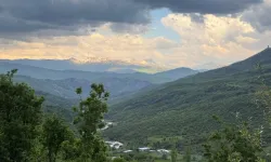 Şırnak’ta ormanlık alanlara giriş yasağı