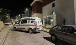 Kayınpeder, tartıştığı damadını bıçaklayarak öldürdü