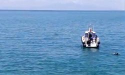 Van Gölü'ne düşen otomobilin sürücüsü yaralı kurtarıldı