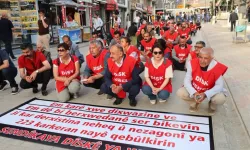 Van'da kayyım tarafından atılan işçilerin eylemi 317'nci gününde