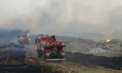 İzmir Dikili'deki yangın kontrol altına alındı