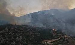 Antalya’daki orman yangını ikinci gününde: Havadan ve karadan müdahale sürüyor!
