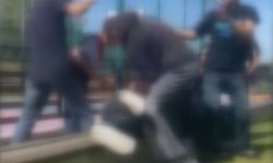 Parkta akran zorbalığı: Arkadaşlarını dövüp kameraya çektiler!