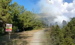 Ankara'da açık alanların tamamında ateş yakmak yasaklandı!