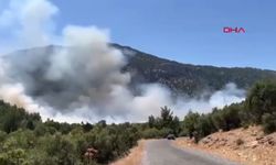 Antalya'da orman yangını; havadan ve karadan müdahale ediliyor!