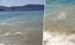Bodrum'da deniz kirliliğine savcılık soruşturması: Tekneler ve kooperatifler incelemeye alındı!