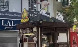 Büfesinin üzerine çıkıp kendini zincirledi