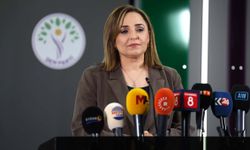 DEM Partili Doğan: Çerçeve yasa taslağı hazırlıkları için son aşamadayız
