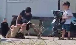 Hatay'da kan donduran şiddet: Elinde bıçakla yere yatırdığı eşini dövdü!