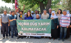 Suruç katliamında yaşamını yitirenler mezarları başında anıldı