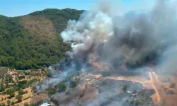 Fethiye’de orman yangını: Ekipler havadan ve karadan müdahaleye başladı