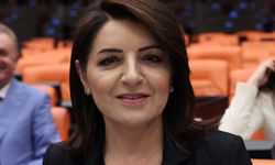 CHP’li Gülcan Kış, emekçilerin vergi ve enflasyon yüküne dikkat çekti