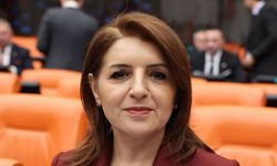 CHP'li Gülcan Kış: Sorun kaynak yokluğu değil, bütçe tercihidir