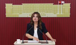 DEM Parti'li Koçyiğit: AKP'nin bu hafta yasa taslağını İmralı heyetimize aktarmasını bekliyoruz