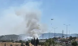 İzmir'de otluk alanda çıkan yangın, ormana sıçradı