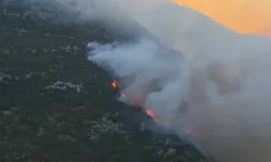 Antalya’nın Kaş ilçesinde orman yangını
