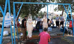 Hayvan kesiminde yeni dönem: Kamera zorunluluğu geliyor
