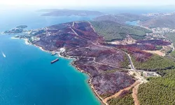 Muğla Valisinden 'yanan ormanlık alanlar imara açılacak' iddiasına yanıt
