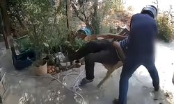 80 yaşındaki ortopedik engelliyi darbedip, ağır yaralayan şüpheli tutuklandı