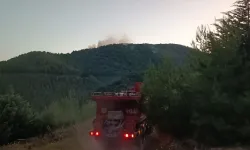 Adana'da ormanlık alanda yangın çıktı