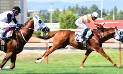 Osmangazi Koşusu'nda zafer 'Magic Selectra'nın