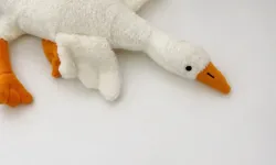 Bakanlıktan 'peluş kaz' oyuncağına yasak ve toplatma kararı