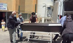 Sivas'ta kene yine can aldı: Tedavi gören kadın kurtarılamadı