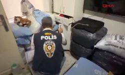 Malatya'da yasa dışı bahis operasyonu: 16 tutuklama