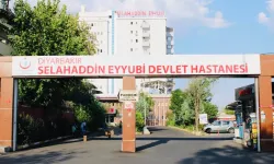 Madde bağımlısı olduğu ileri sürülen ağabeyi tarafından bıçaklanarak öldürüldü